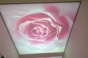 PVC zachte film doorschijnend printen
